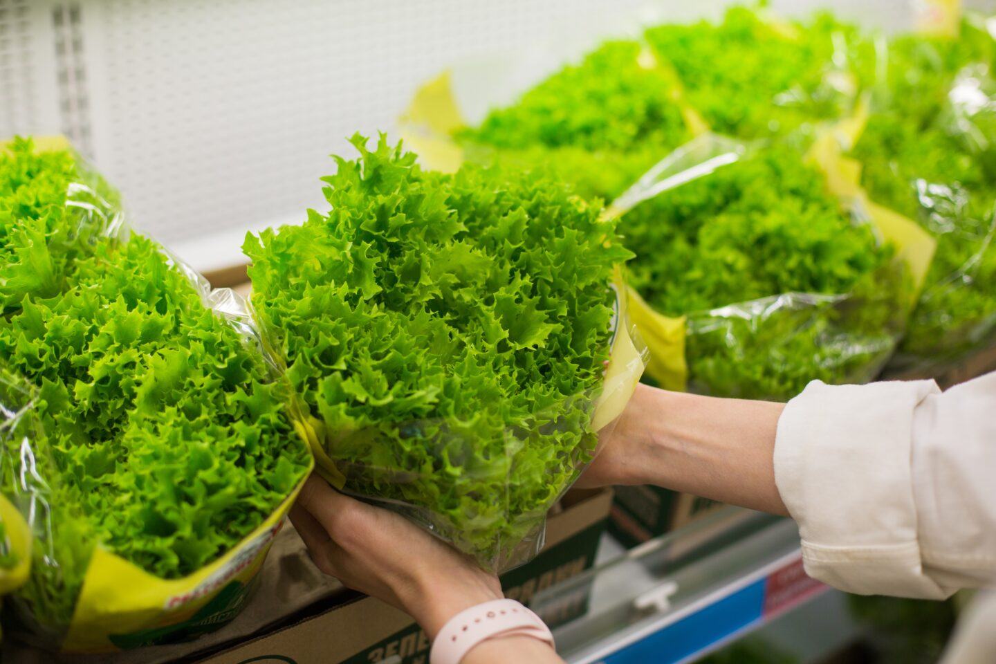 woman holding a bushel of romaine lettuce