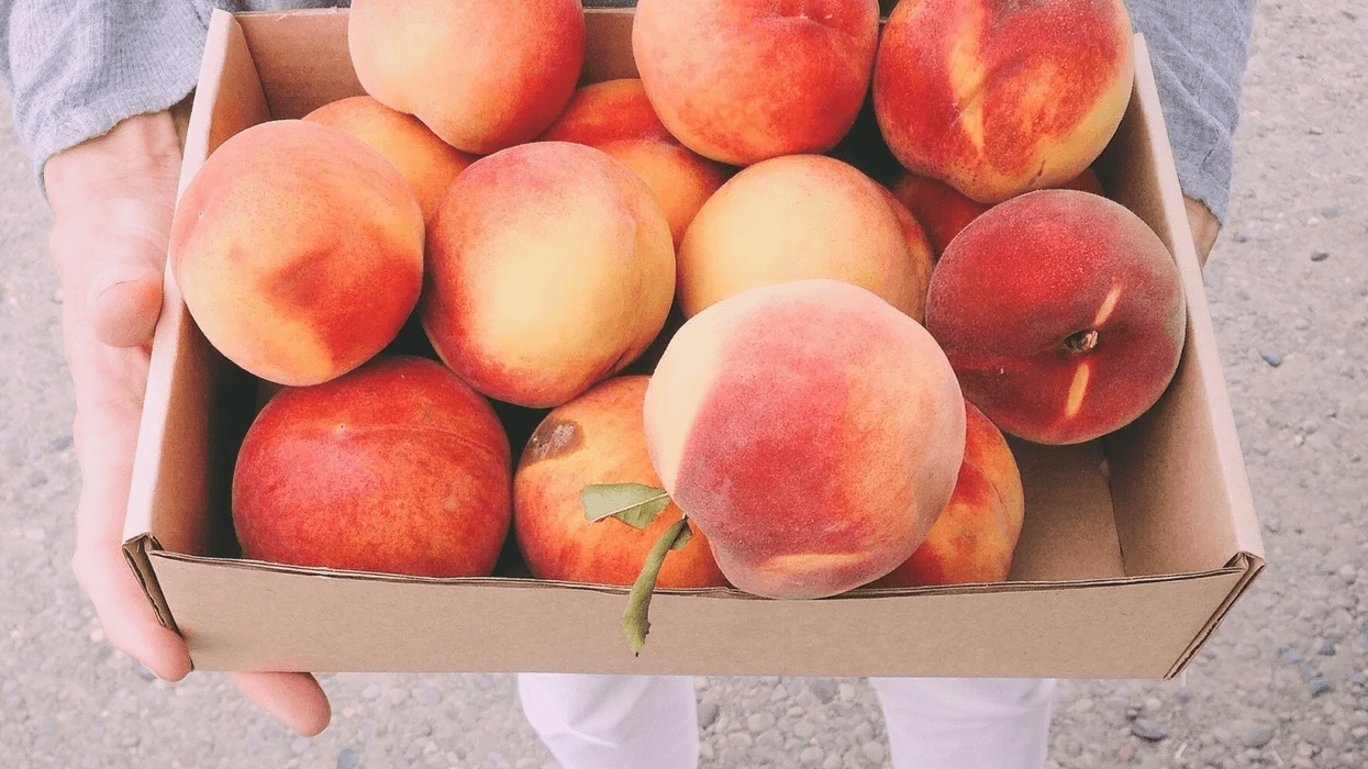 woman holding box of peaches