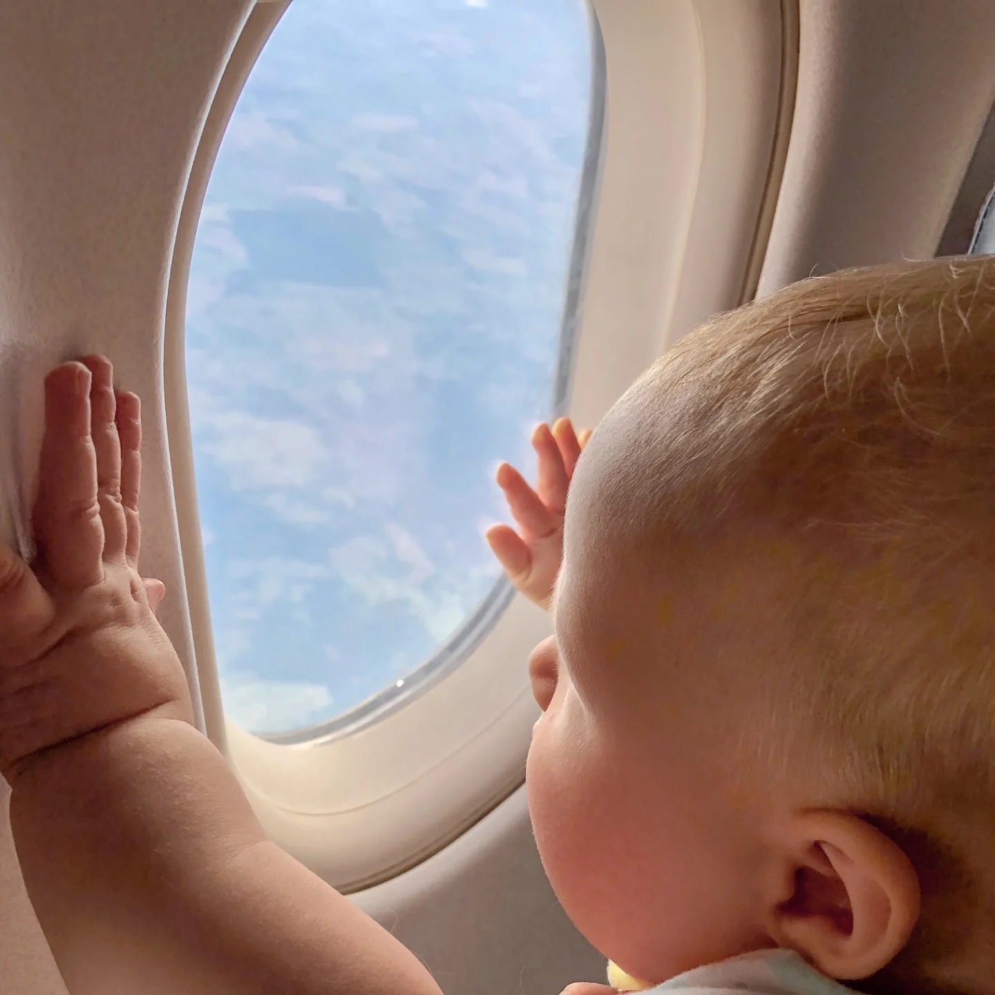 baby with their hands on airplane window