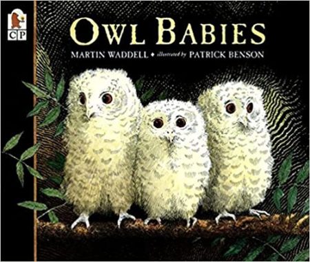 owl babies book