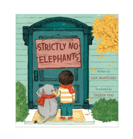 Strictly No Elephants Book