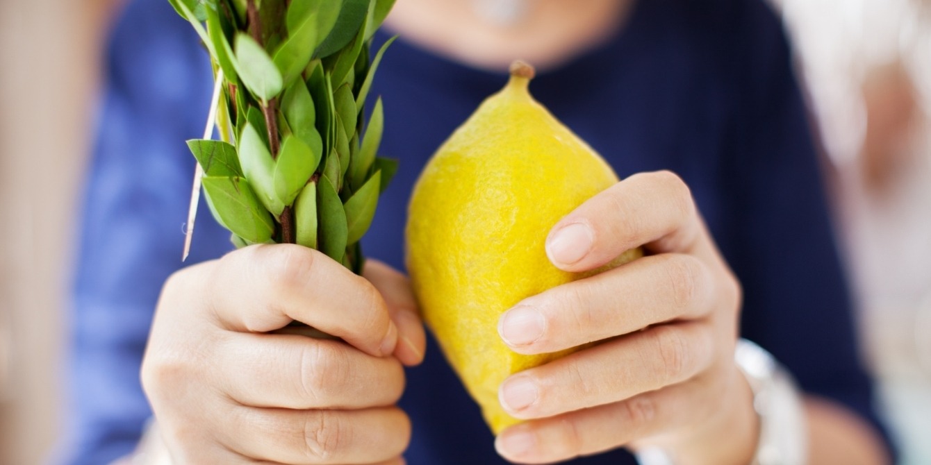 child holding a lulav and etrog for sukkot- how to celebrate sukkot at home