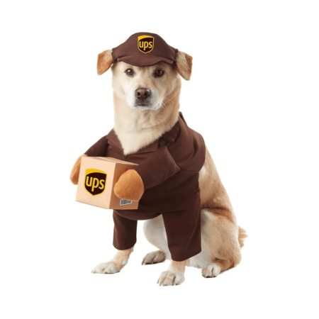 california costumes ups pal pet halloween costume x small Motherly