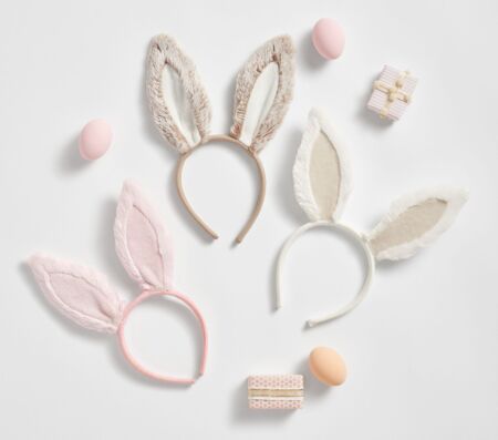 Pottery Barn Kids Buny Ears