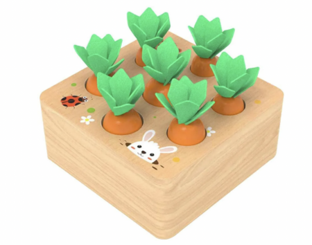 wooden carrot garden set