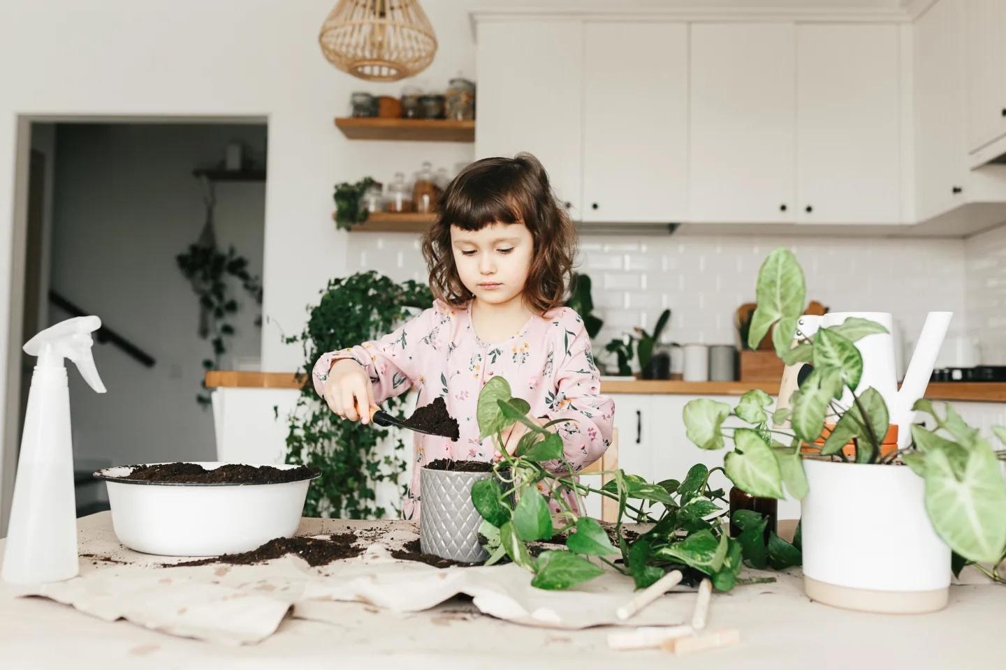 little girl watering indoor plants