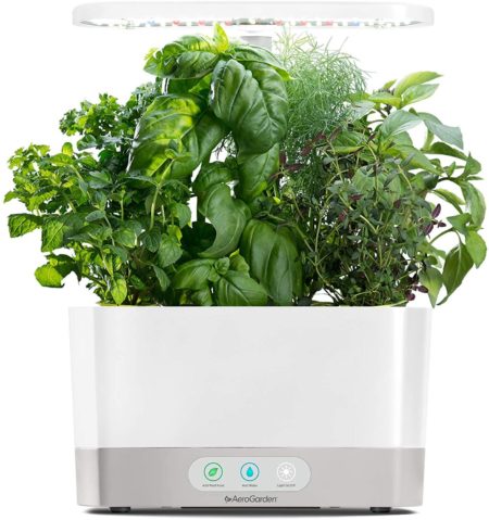 Aerogarden Hydroponic Garden