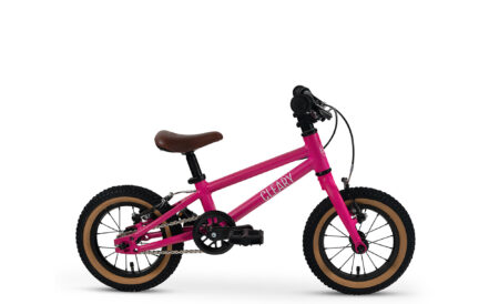 Cleary Bikes Gecko