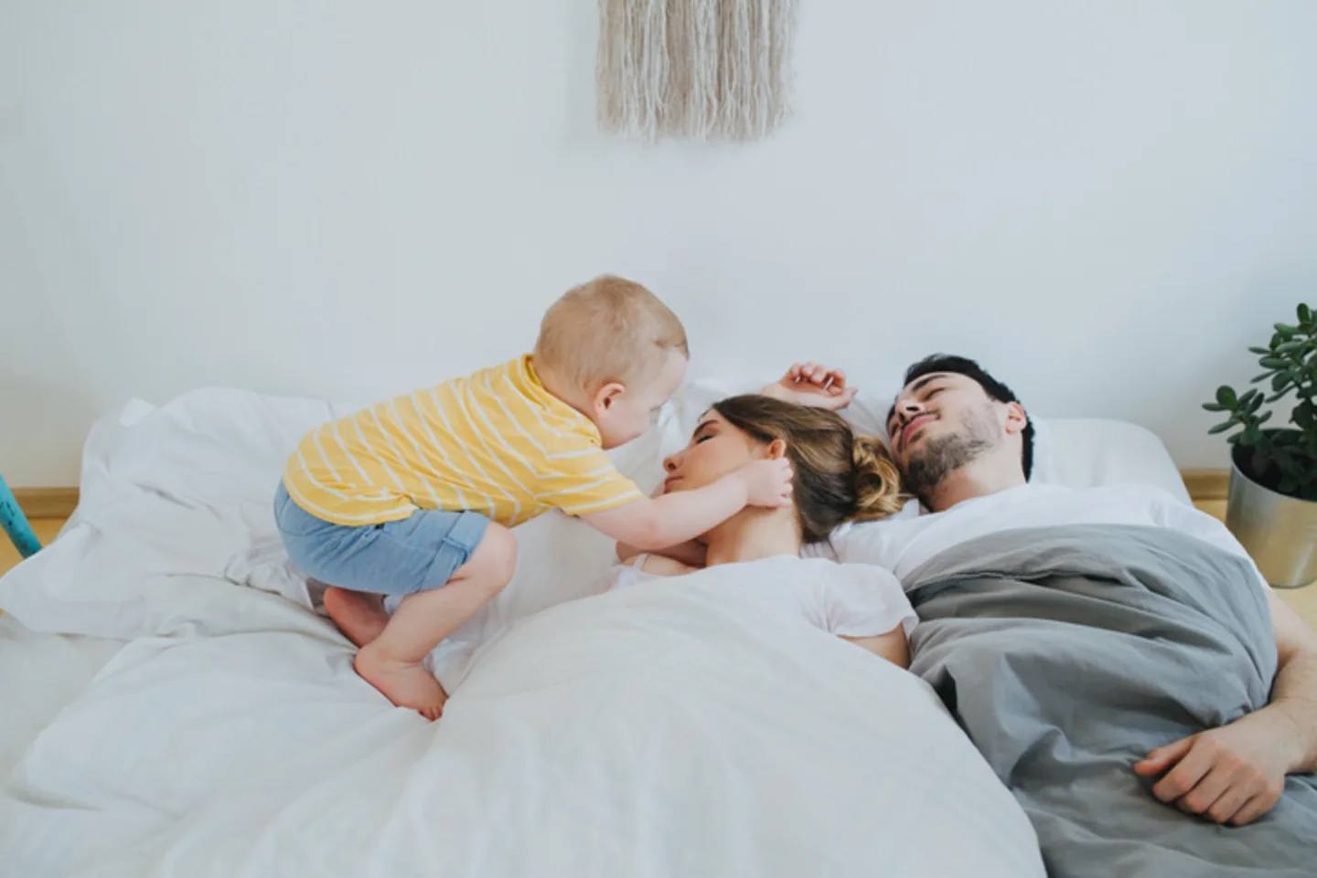 toddler waking up parents in bed - why your toddler wakes you up