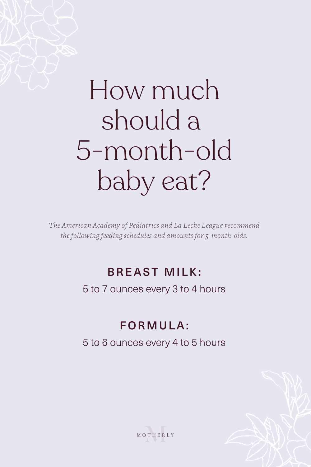 5 month old baby feeding schedule: How much should a 5 month old eat?