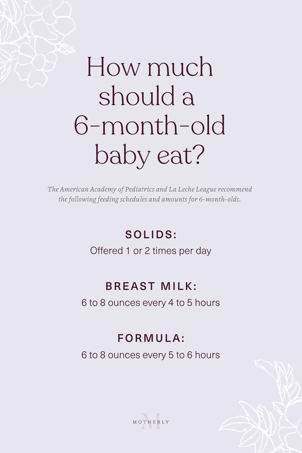 Solid feeding essentials for a 6 -12 months old baby 