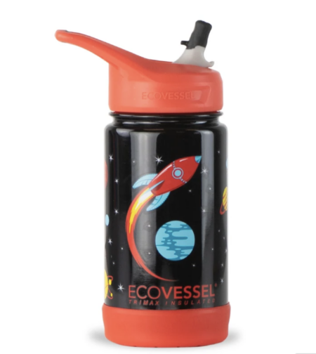 ecovessel stainless steel water bottle