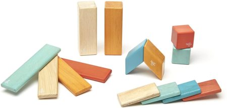 Tegu Magnetic Wooden Block Set