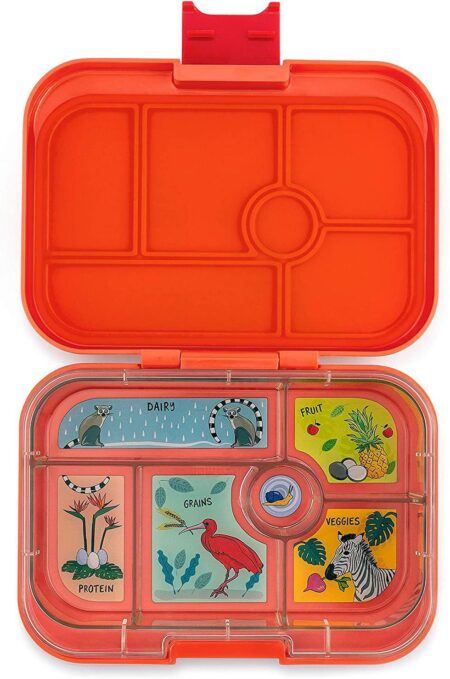 Austin Baby Co Leak-Proof Bento Lunch Box for Kids – Silicone Kids Lunch  Container with 5 Leakproof Compartments – Food-Safe Materials, Sturdy