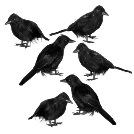 halloween crow decor