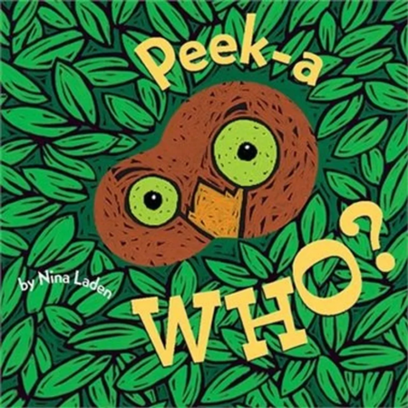 peek a who book, a silly board book for babies