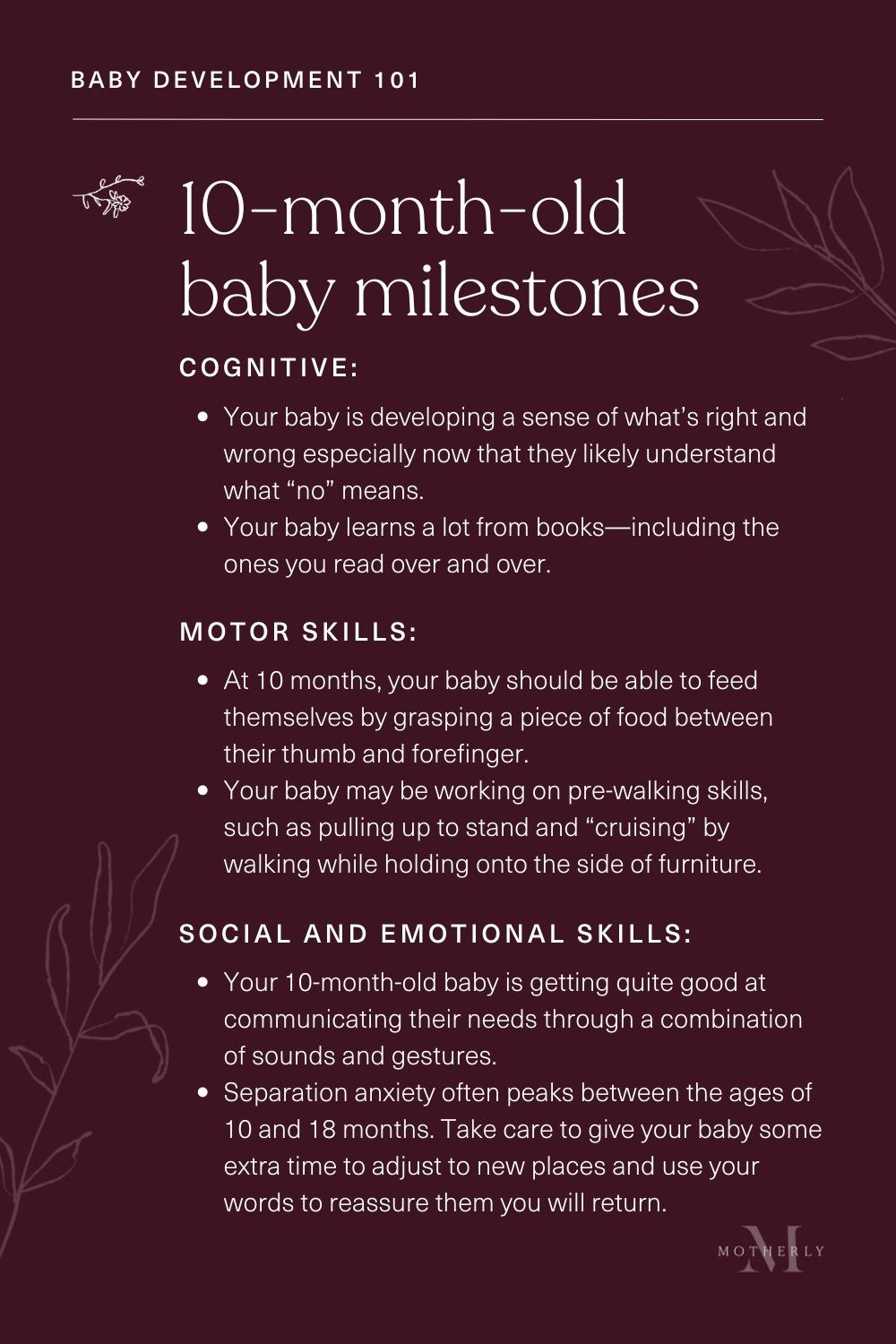 summary of 10-month-old baby milestones - sensory and motor development