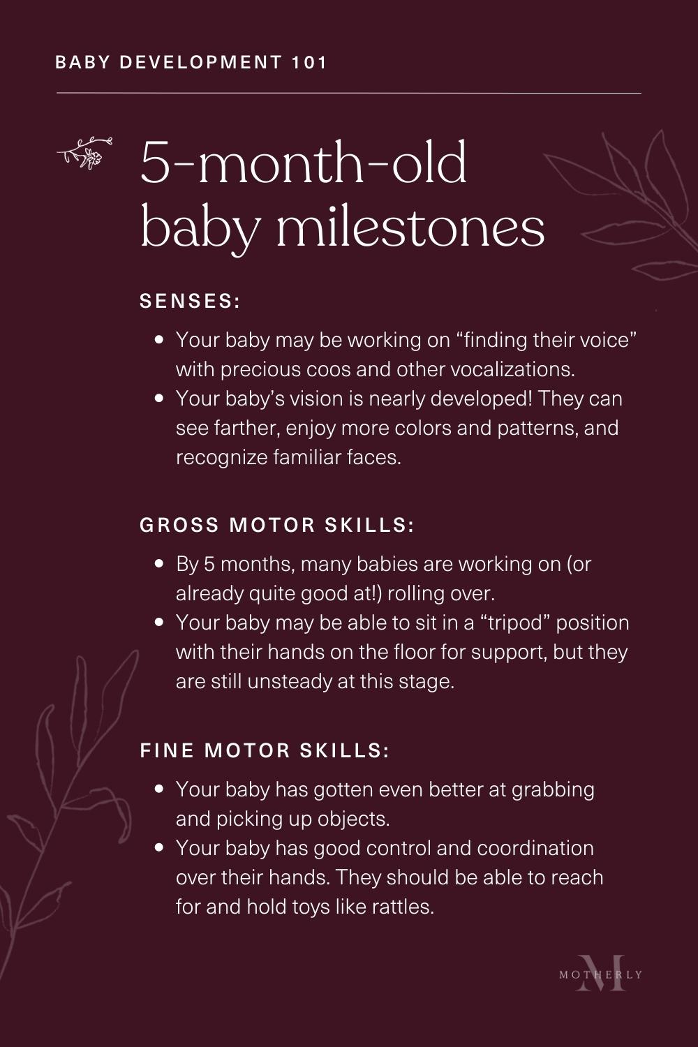 summary of 5-month-old baby milestones - sensory and motor development