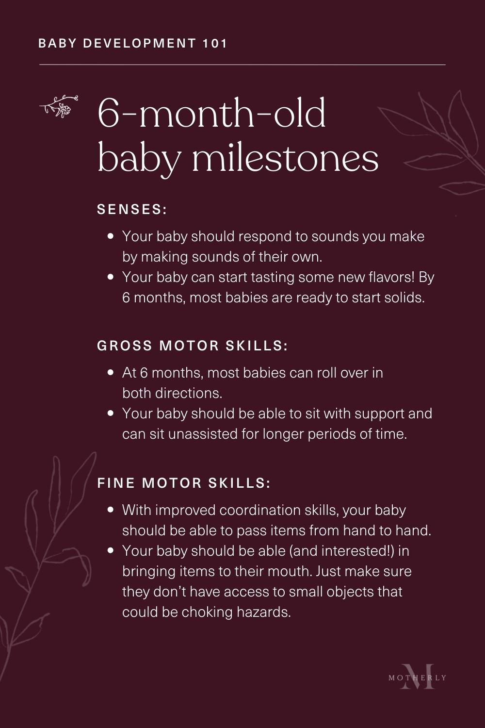 summary of 6-month-old baby milestones - sensory and motor development