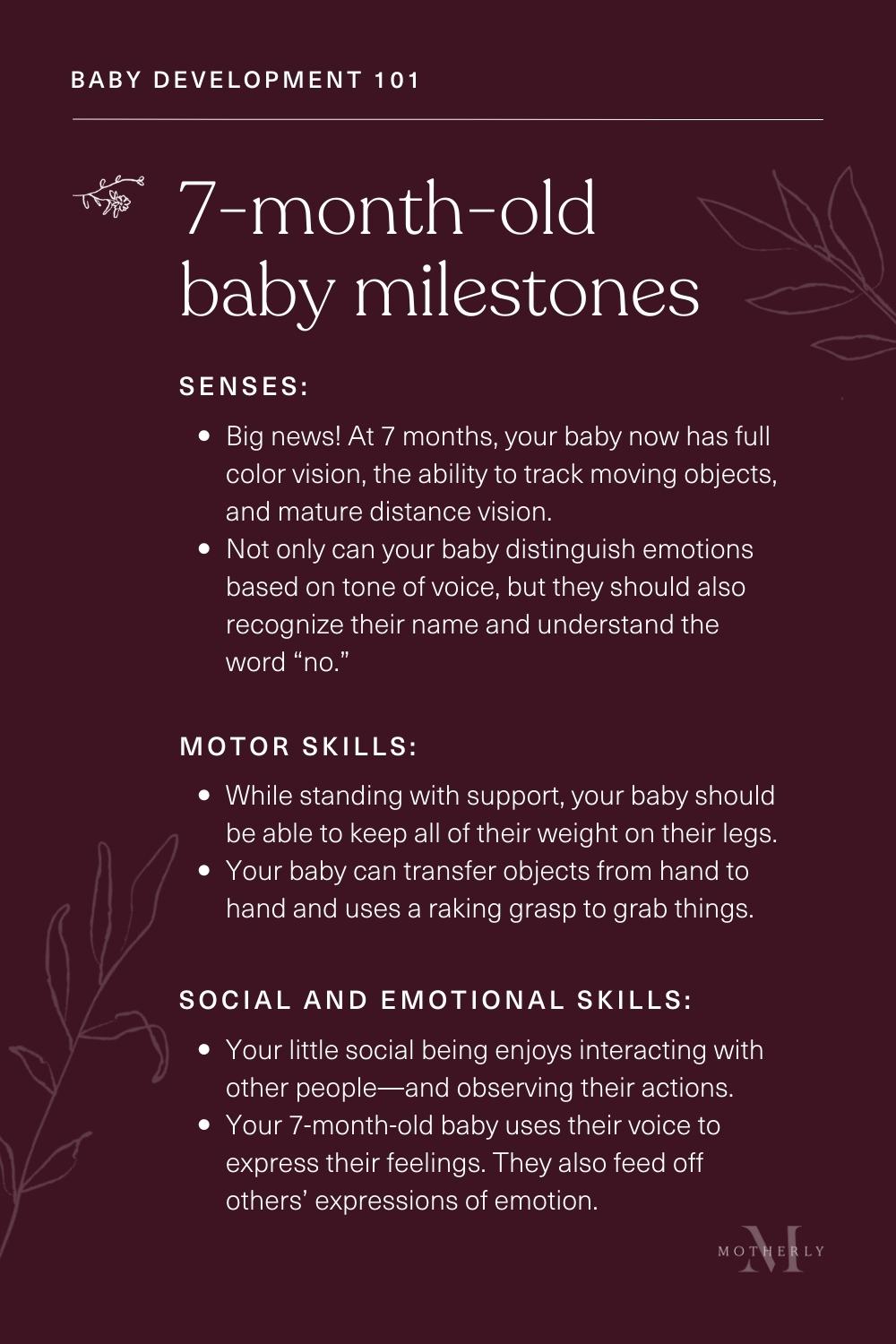 summary of 7-month-old baby milestones - sensory and motor development