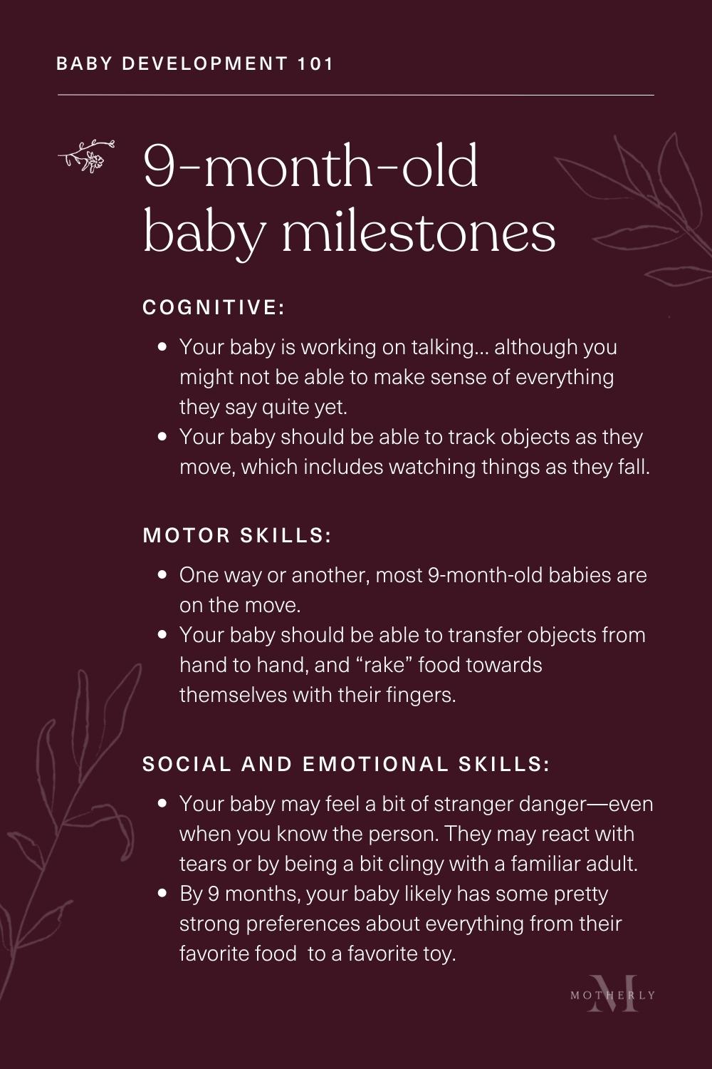 summary of 9-month-old baby milestones - sensory and motor development