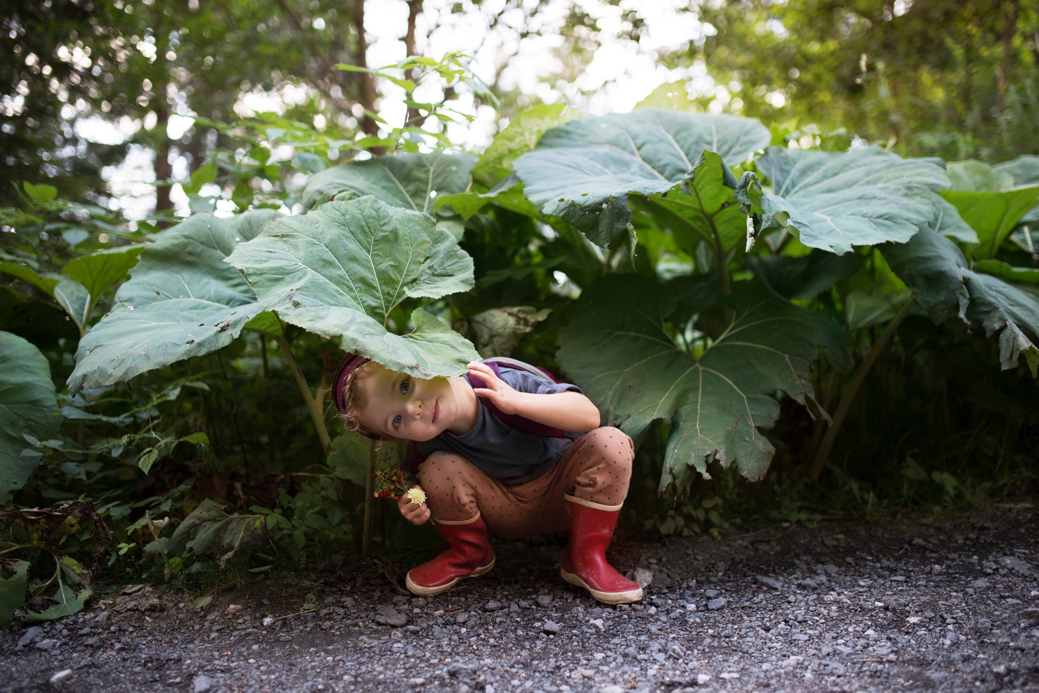 child-playing-in-woods