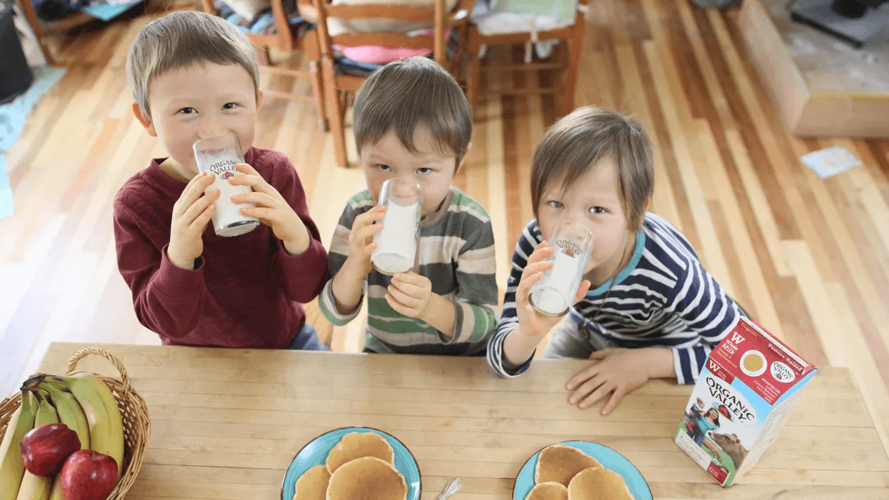 kids drinking milk