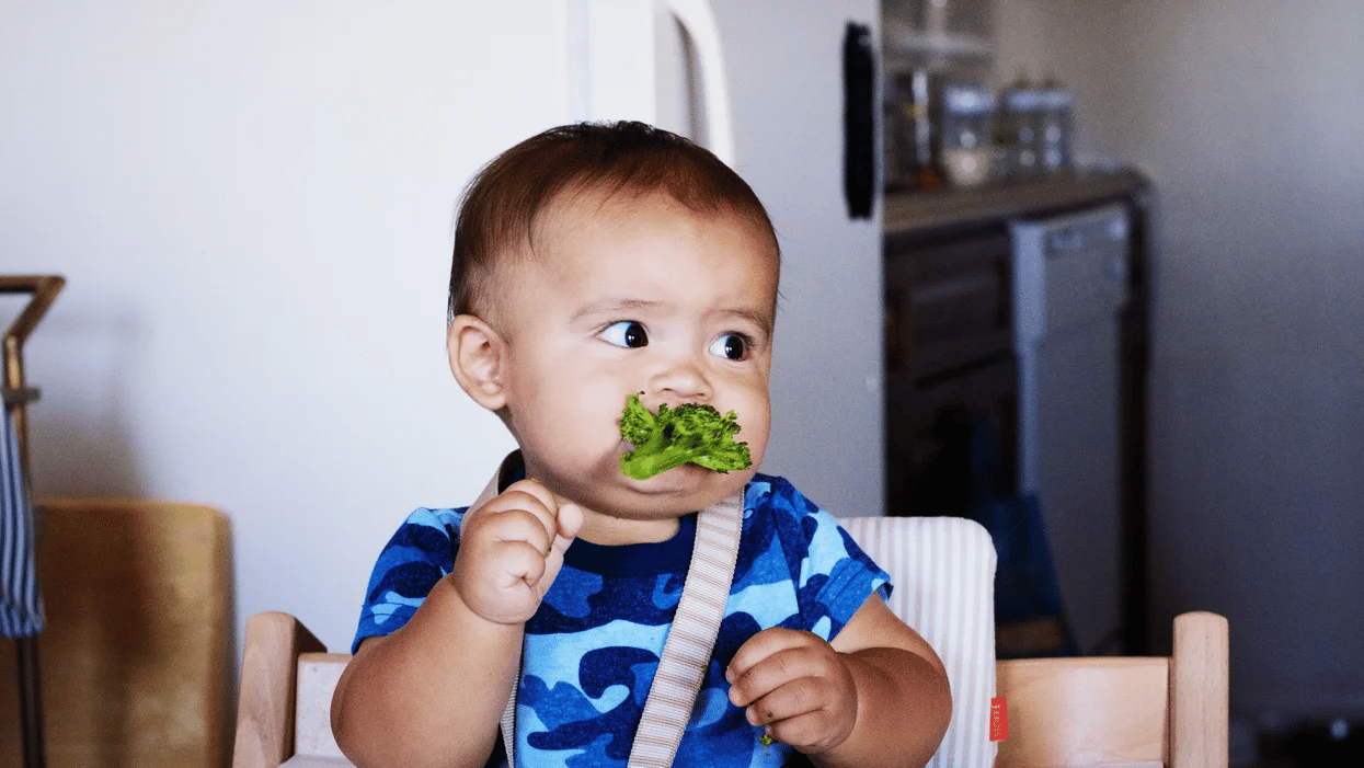 7 month old baby eating lettuce - 7-month-old baby feeding schedule
