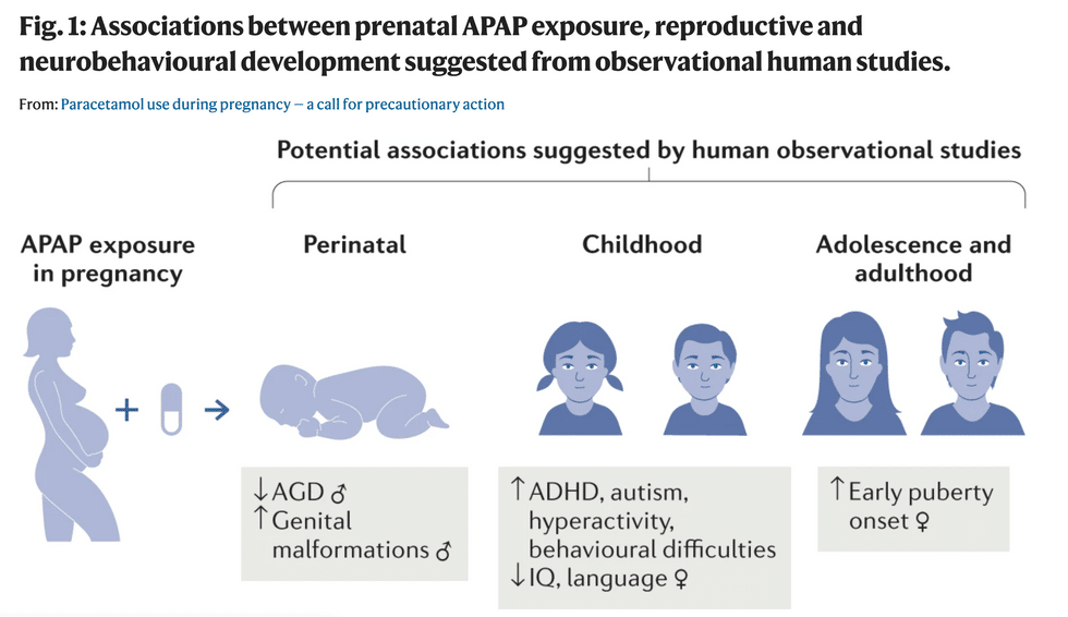 Top 20+ can i take tylenol when pregnant 2 Experts warn that acetaminophen is NOT considered safe in pregnancy