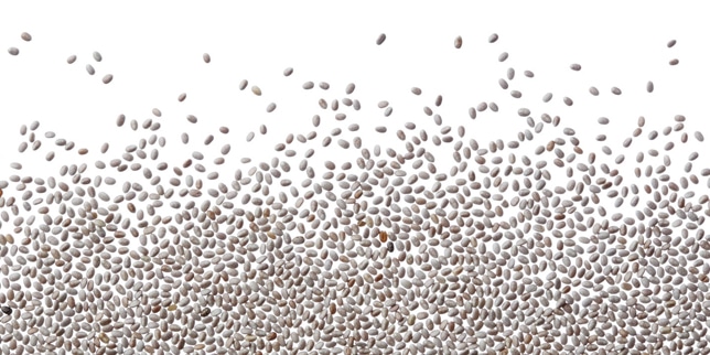 picture of a bunch of chia seeds