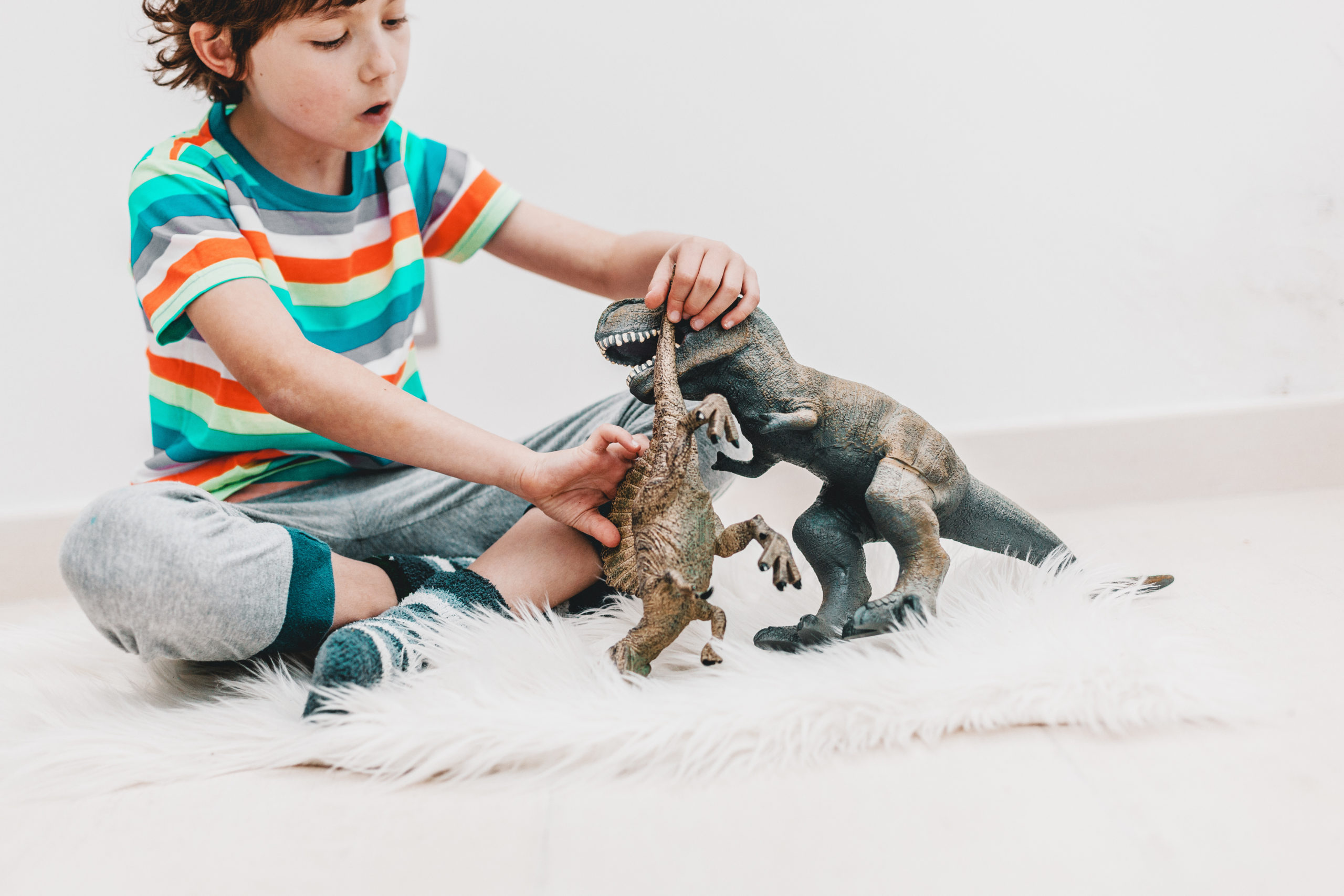 child playing with dinosaurs - toy purge