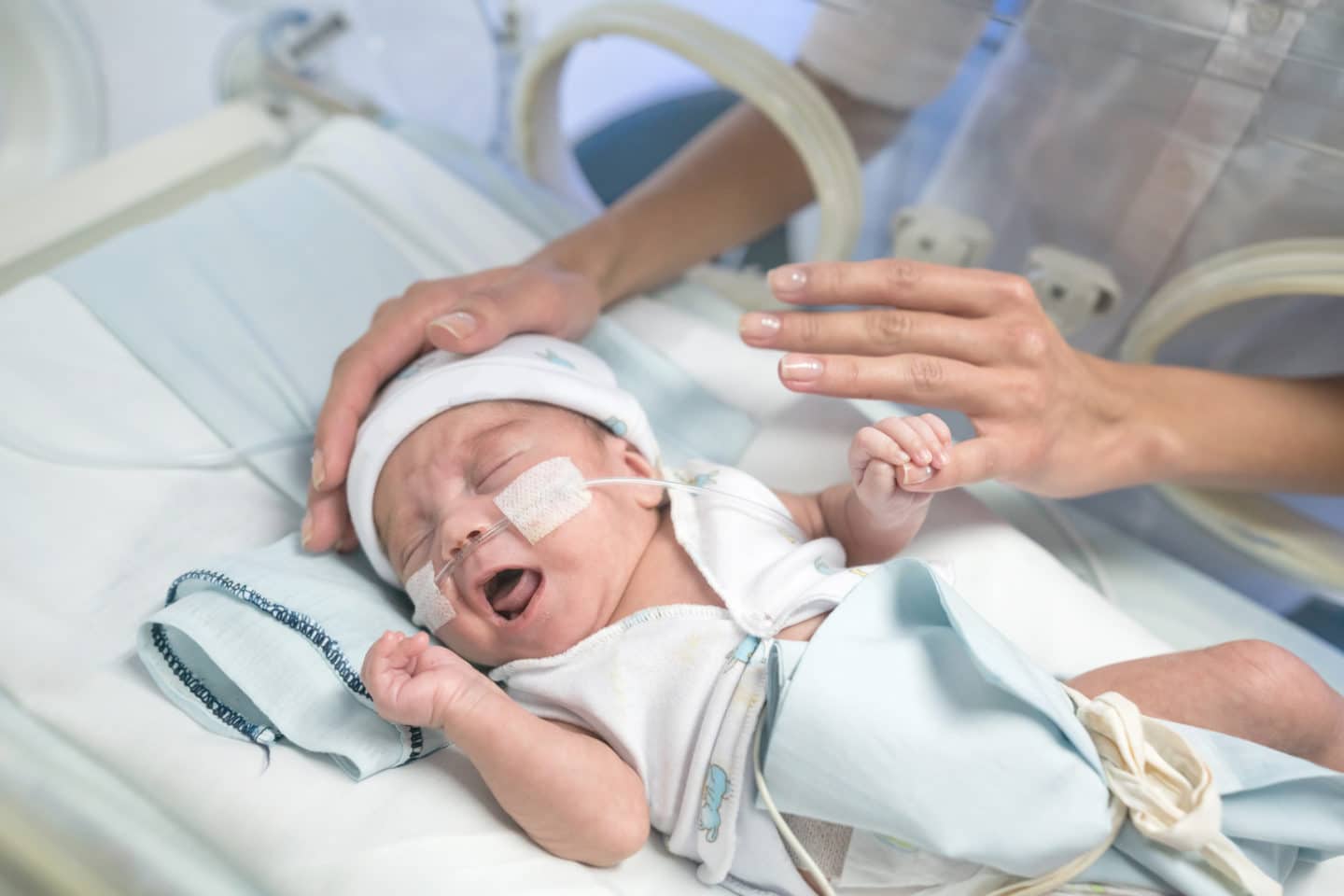 premie baby in the NICU