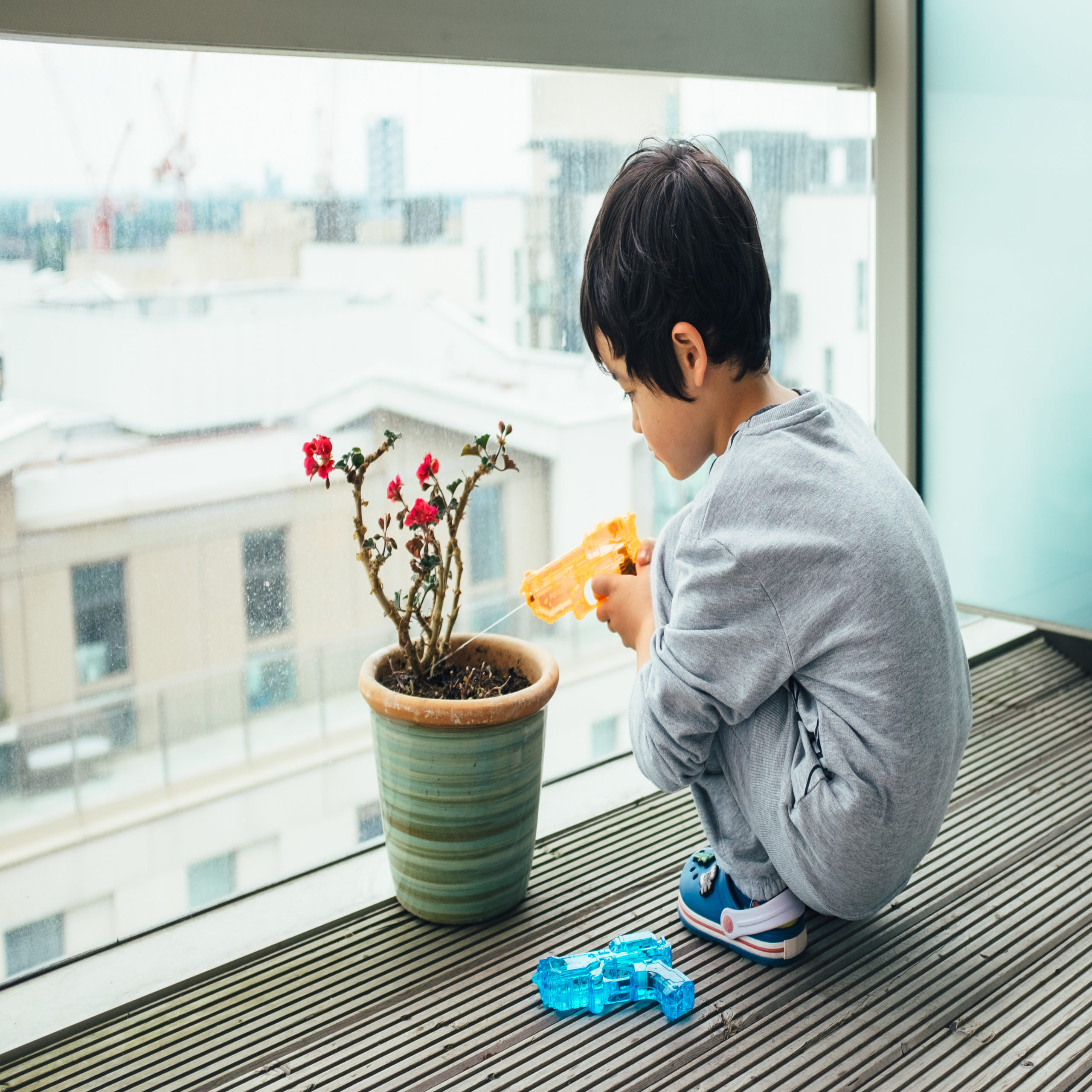 kid watering houseplant