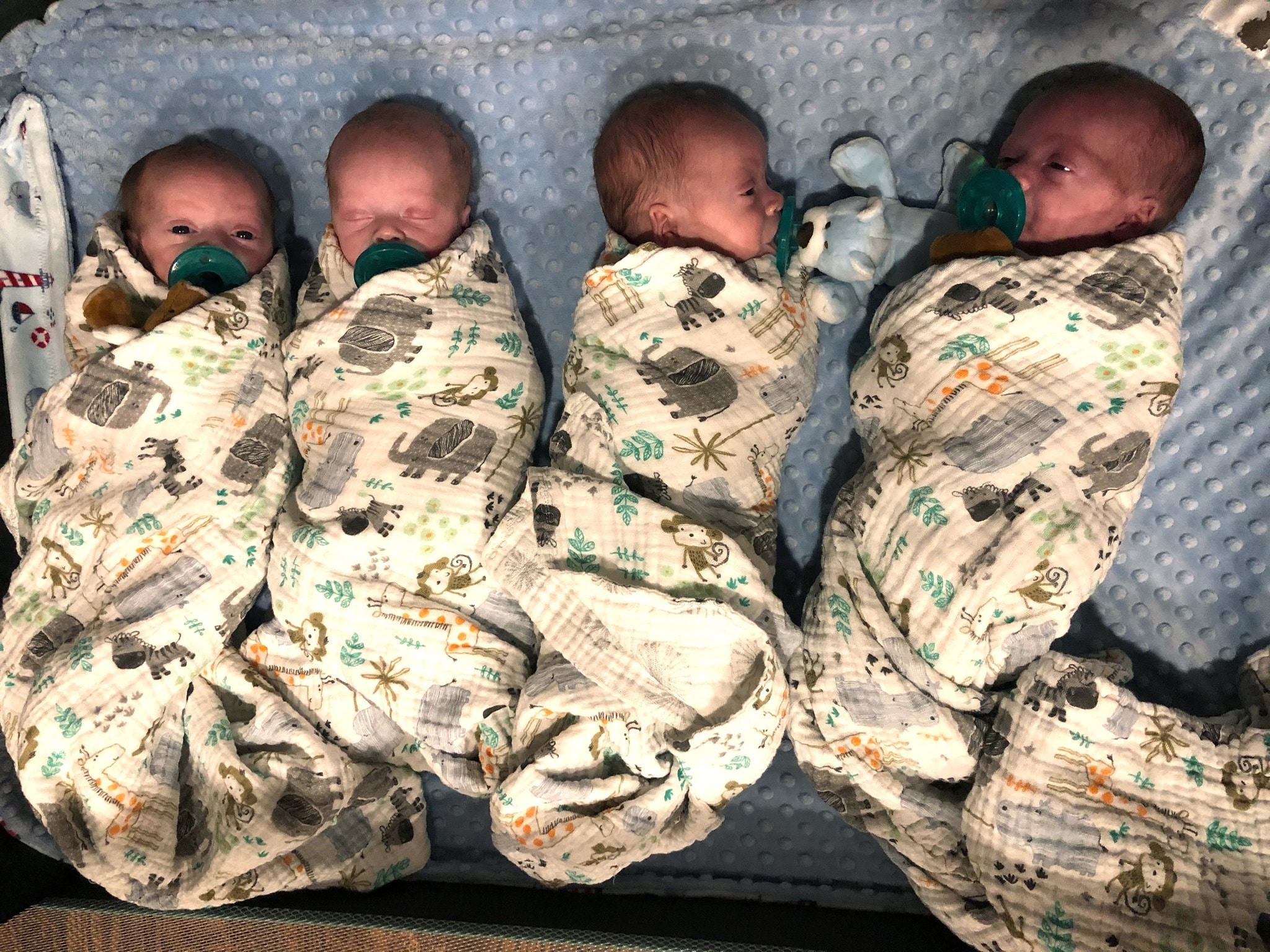 quadruplets laying side by side in a hospital