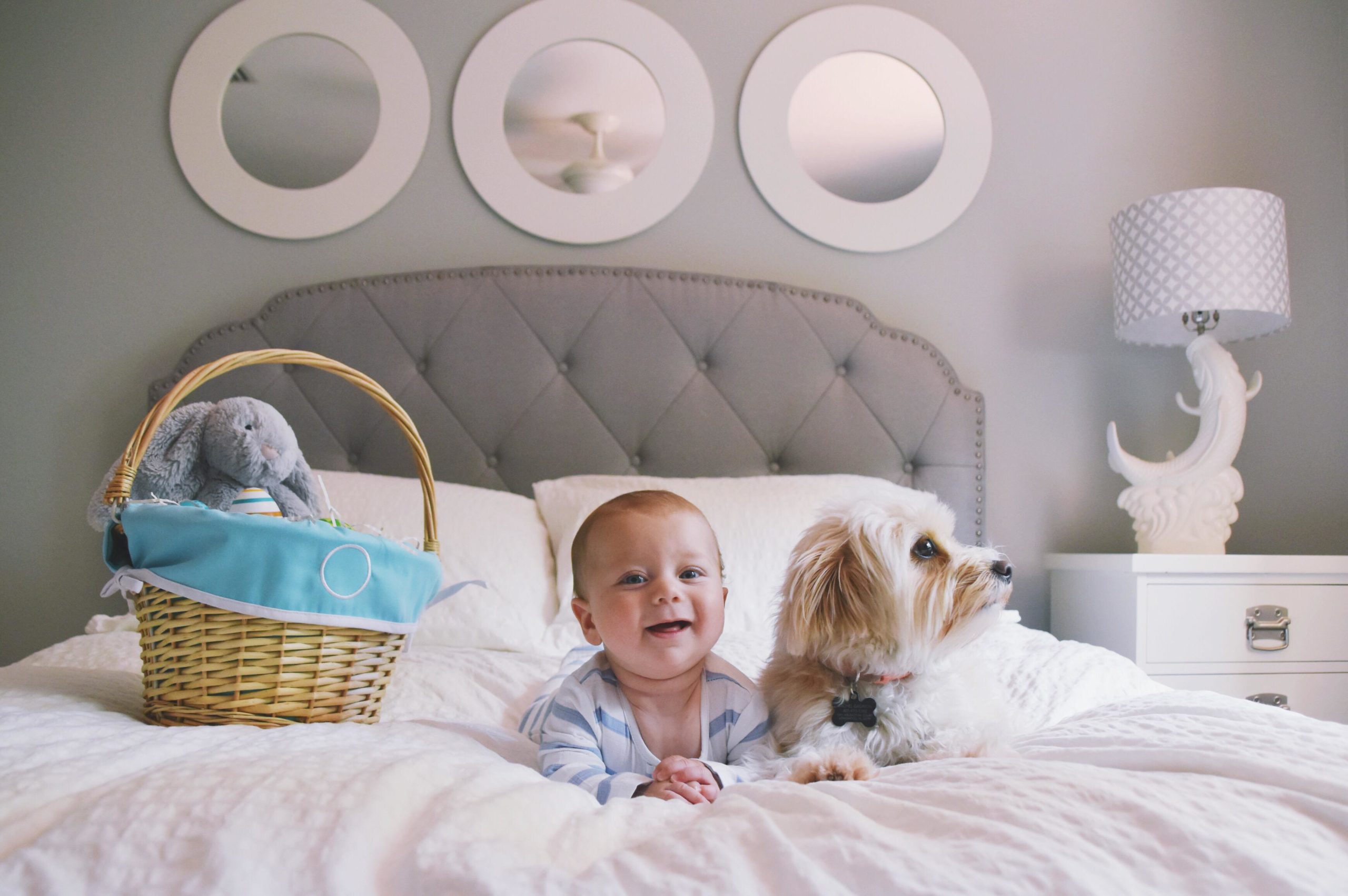 little boy laying on a bed with a dog