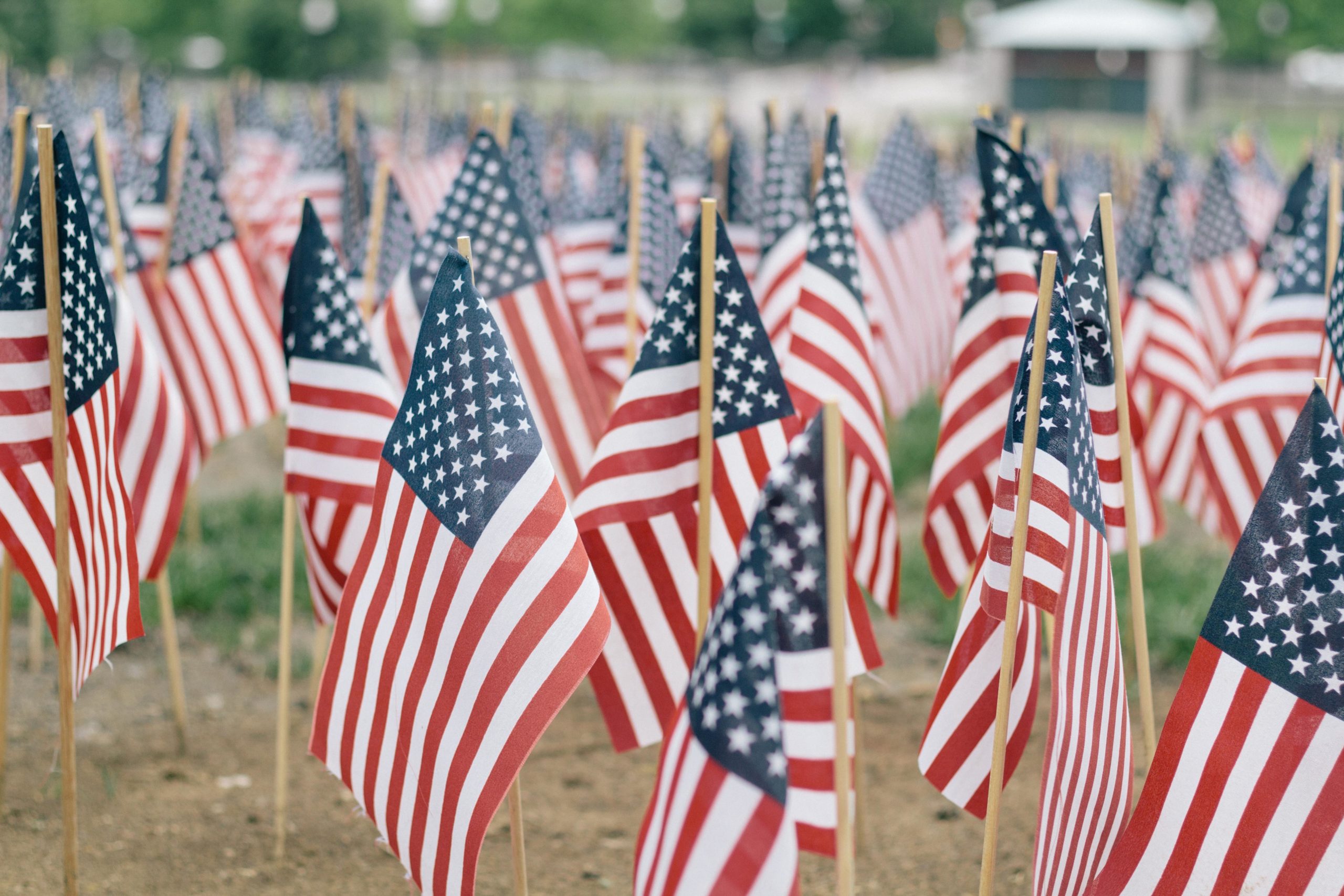american flags- memorial day for kids
