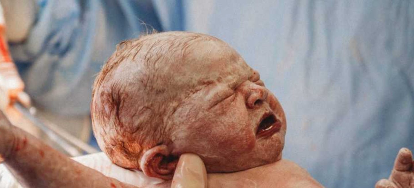 newborn baby just born