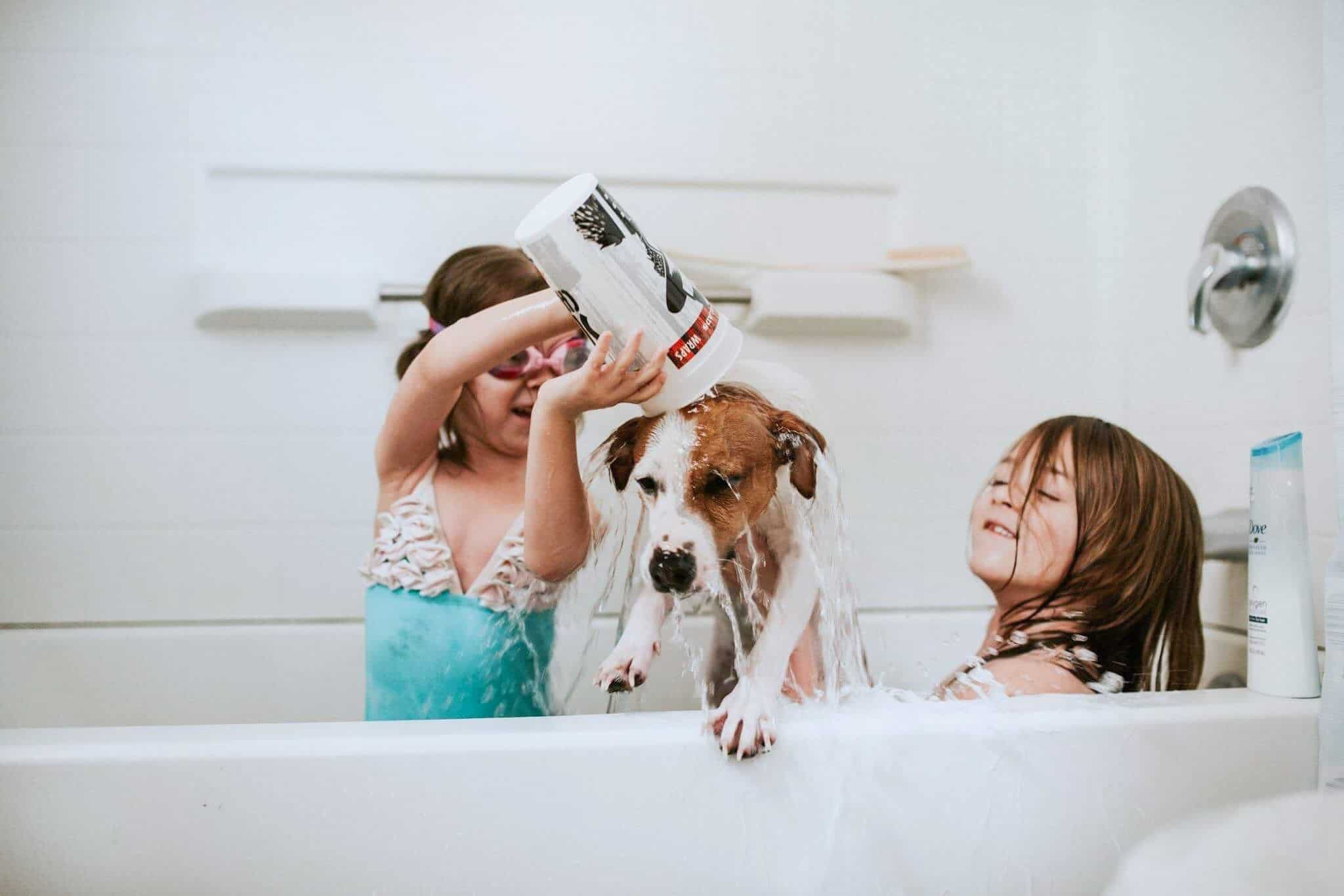 kids giving dog a bath