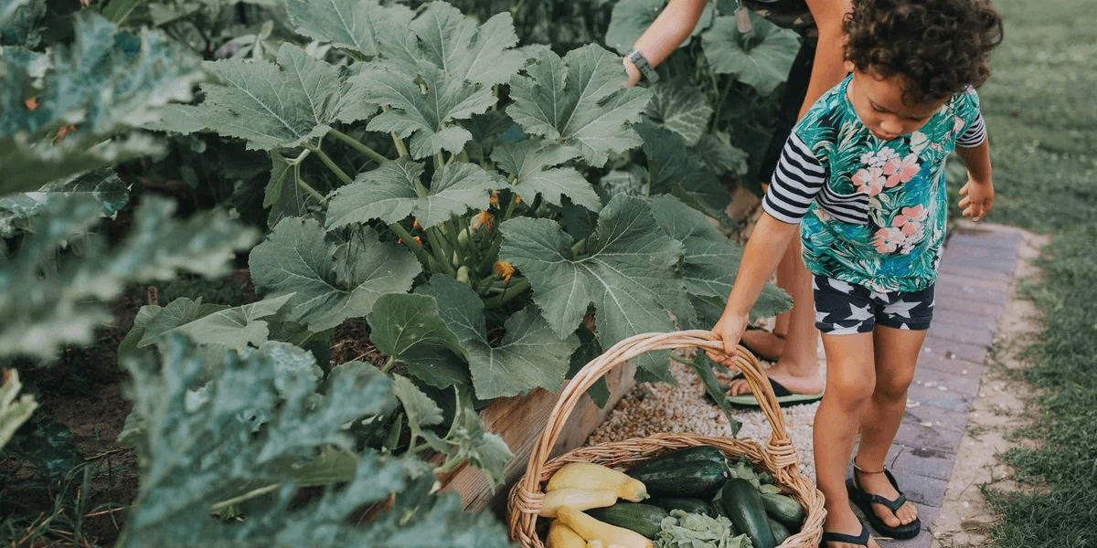 little-girl-in-a-garden-carrying-a-basket