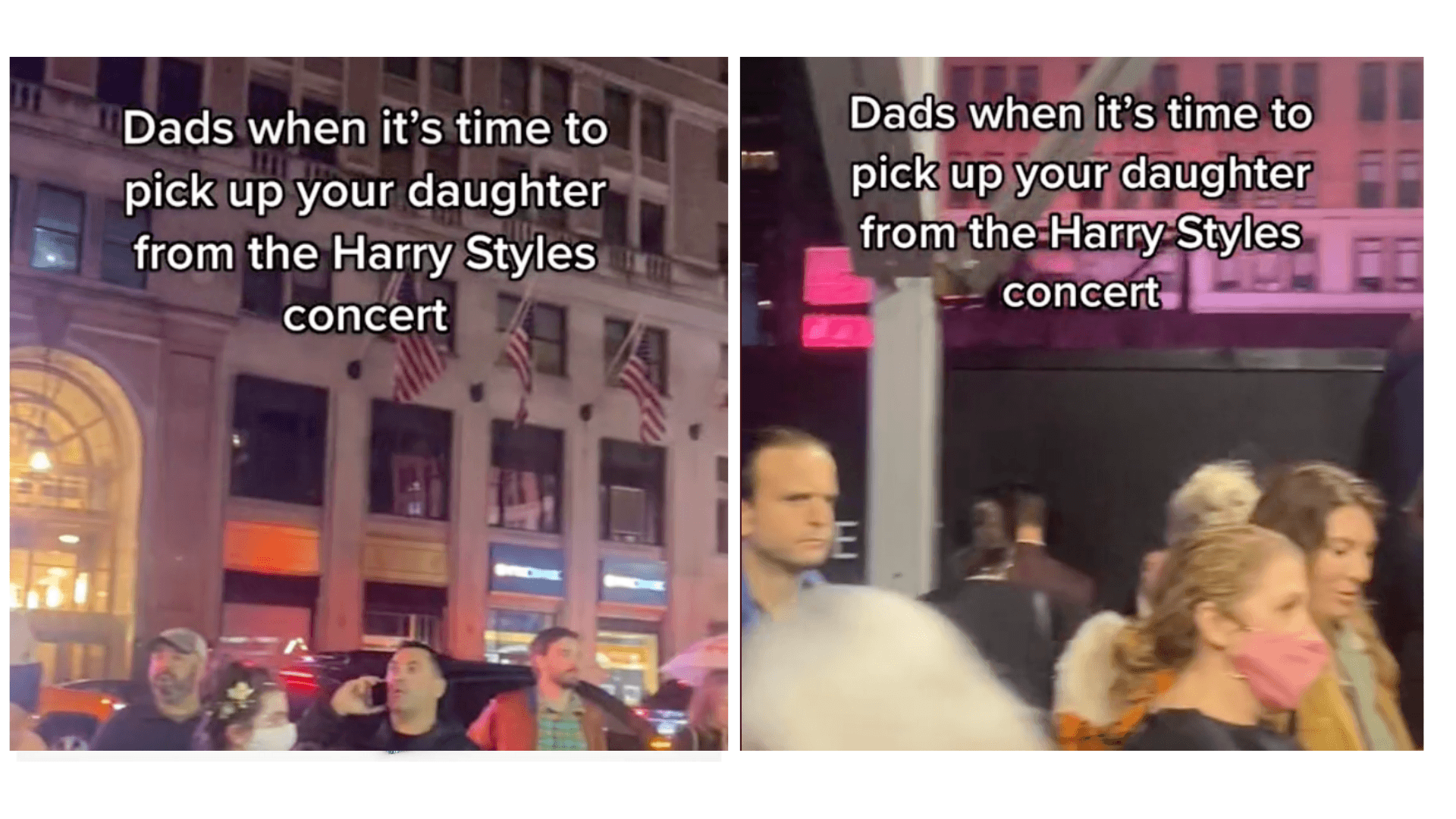 dads-harry-styles-concert