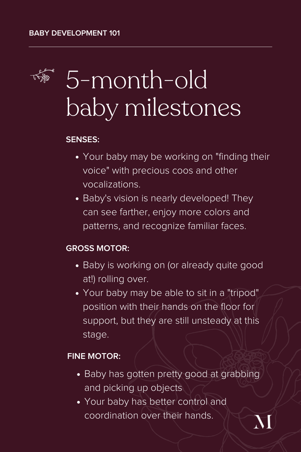 summary of 5-month-old baby milestones - sensory and motor development
