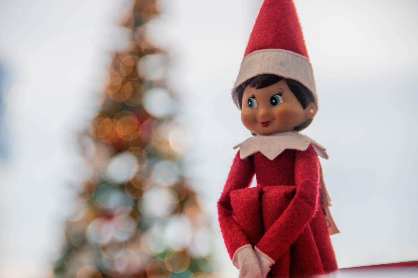 elf on the shelf posing near christmas tree