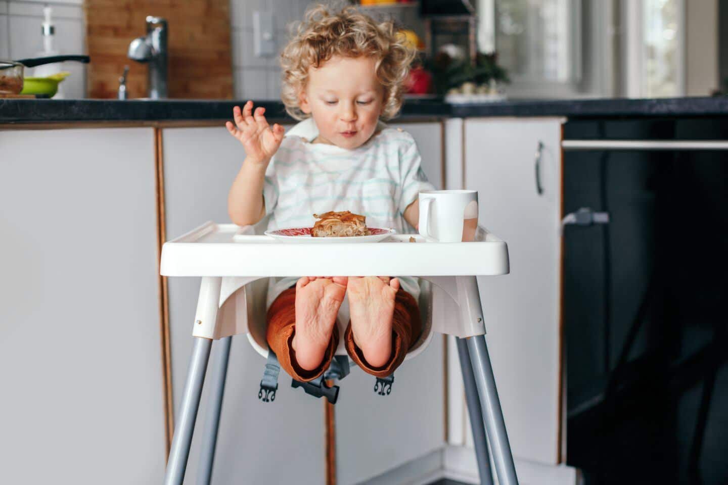 picky eater: toddler sitting in high chair looking at plate of food