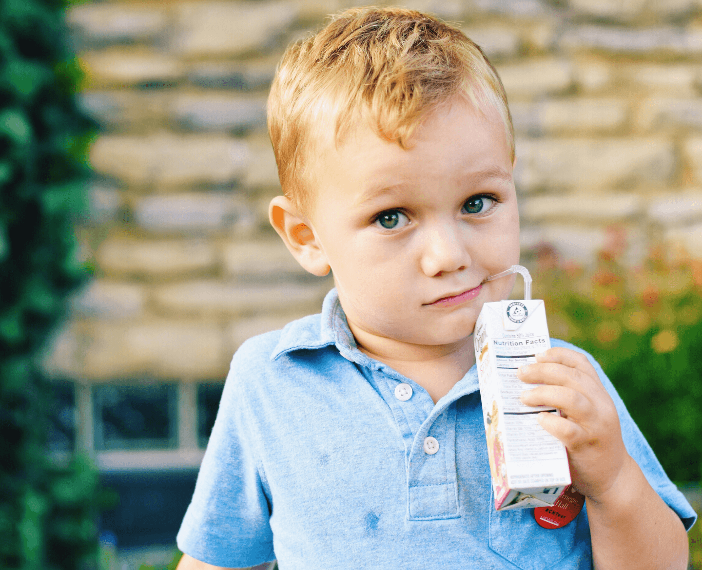 toddler drinking apple juice box lead in juice