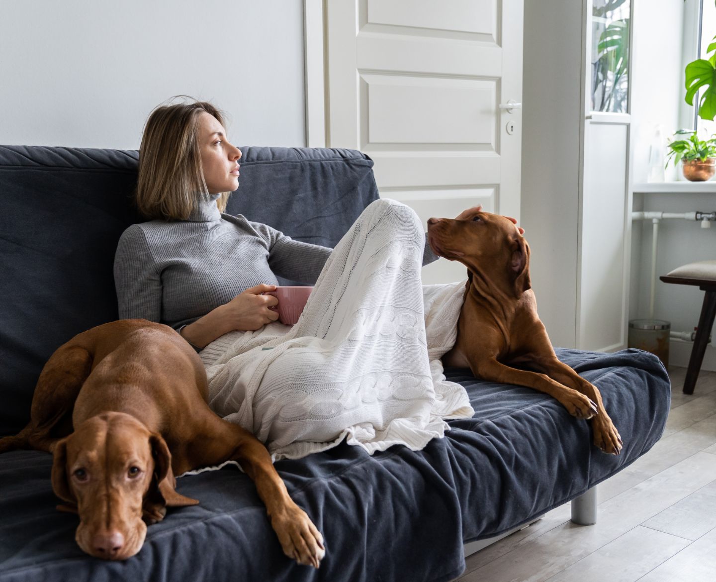 mother's day after miscarriage: woman sitting at home with two dogs