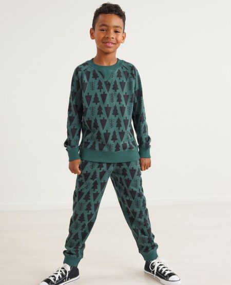 Hanna Andersson Holiday Sweatshirt