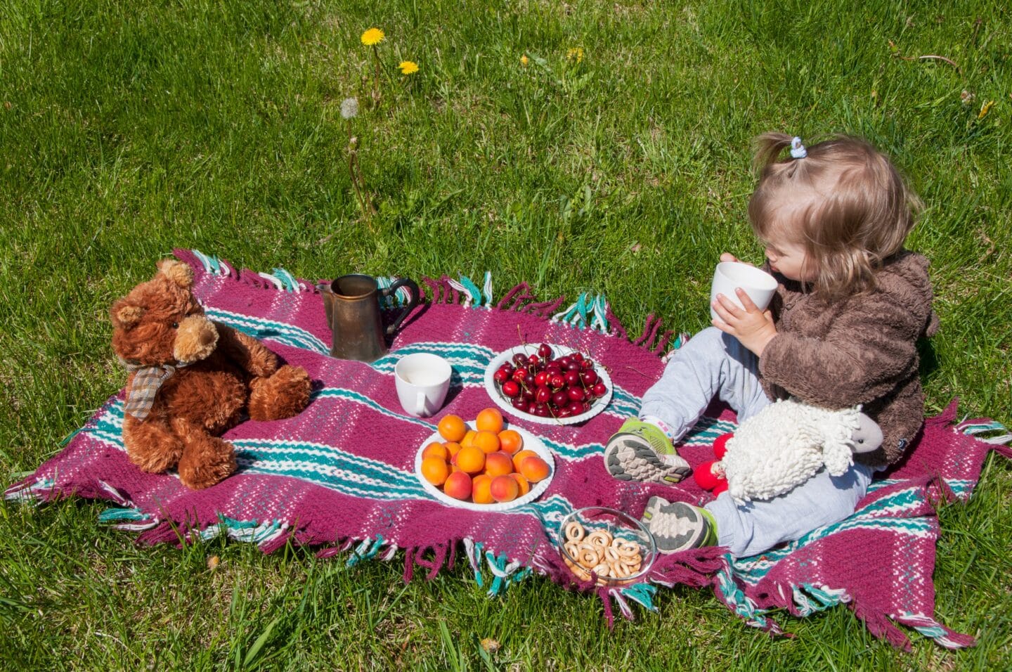 picnic with friends on a green lawn little girl sitting on a rug with plates of berries and fruits t20 ZYnQpj