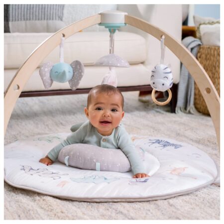 aden + anais Play and Discover Baby Activity Gym