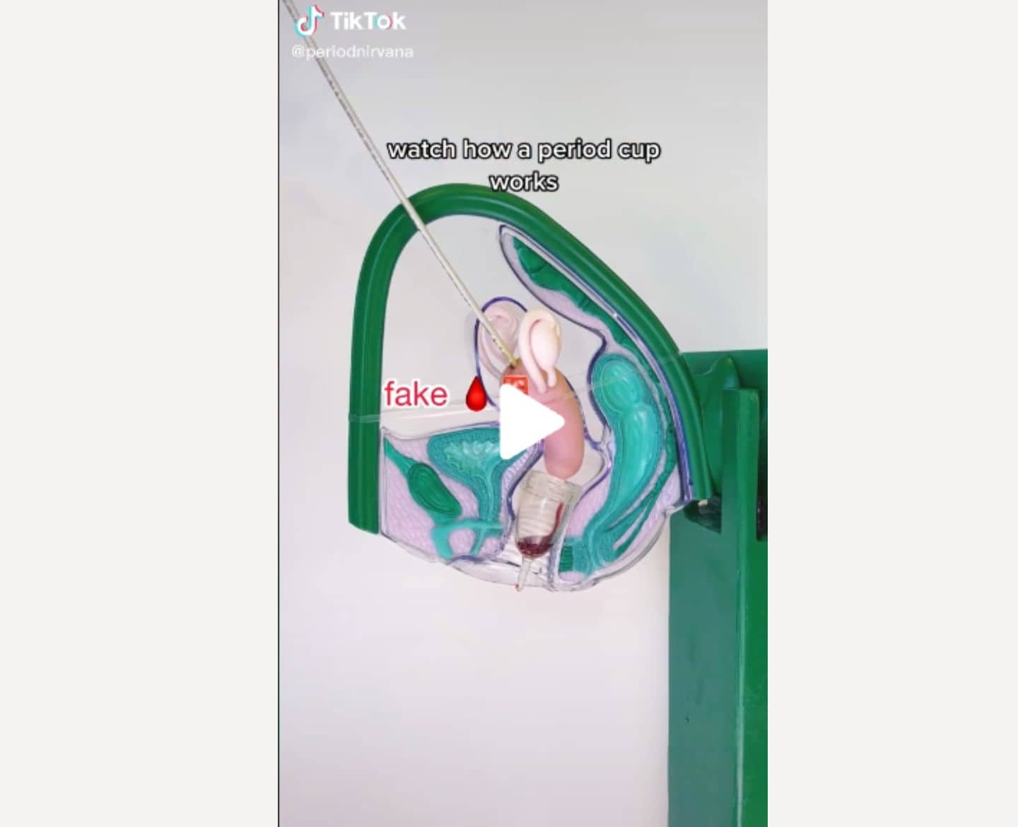 period nirvana tiktok