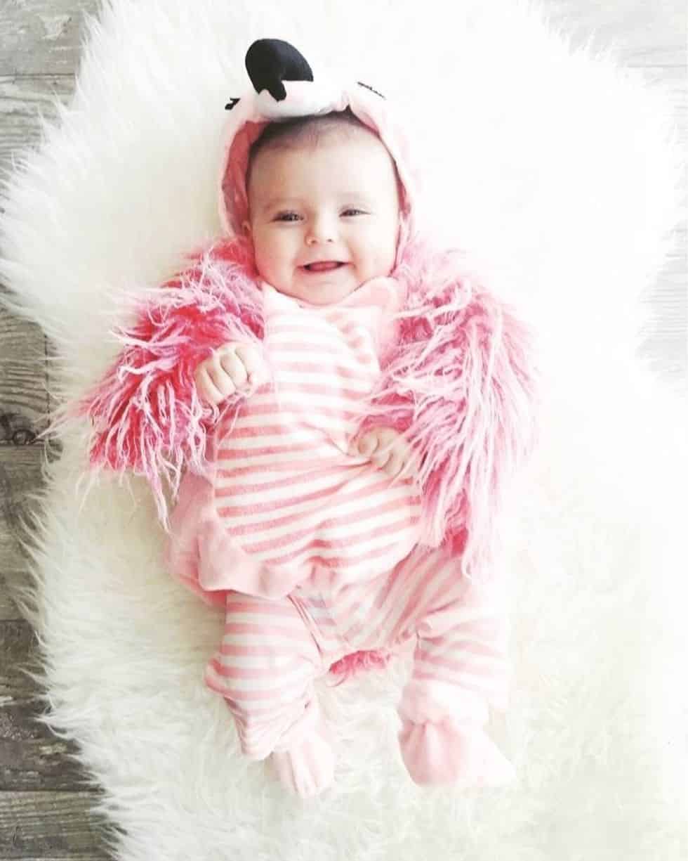 flamingo baby costume Motherly